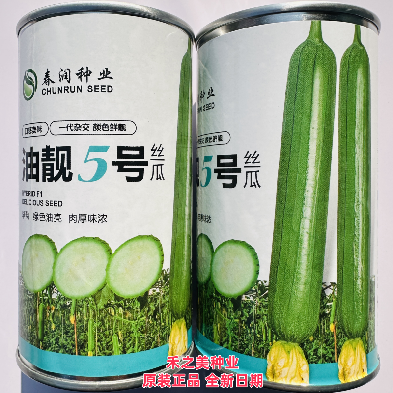 春润种业油靓5号丝瓜种子早熟短棒油亮香丝瓜种子高产瓜味浓春播