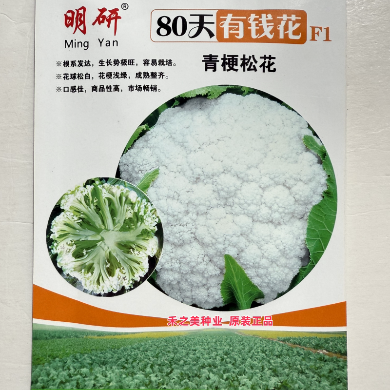 明研80/65天青梗松花菜种子花菜种子秋季四季春花椰菜苗蔬菜种籽