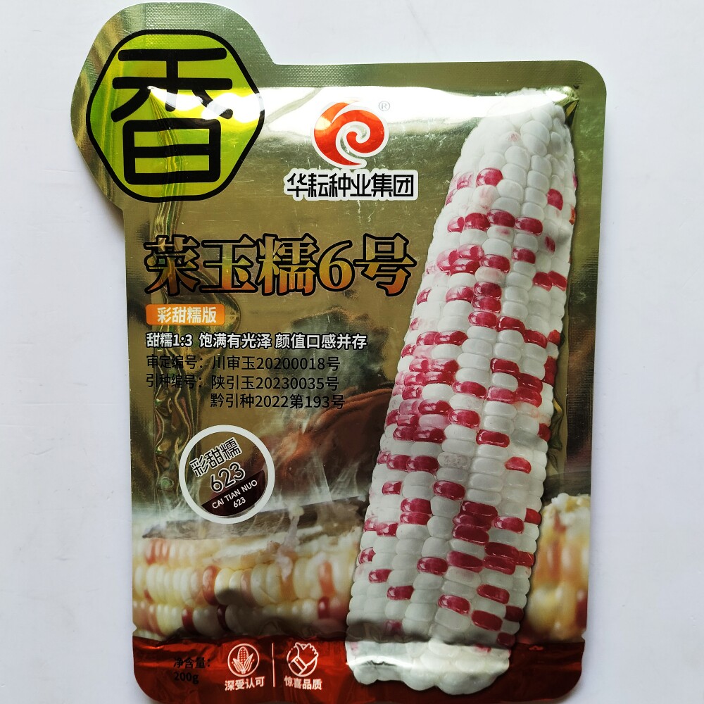 荣玉糯6号彩甜糯玉米种子鲜食大棒杂交玉米种籽农家春秋播蔬菜孑