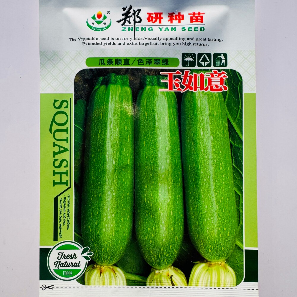 郑研玉如意西葫芦种子杂交早熟瓜条顺直翠绿色占瓜种籽农家春季播