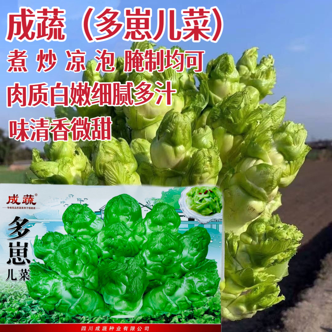 成蔬多崽儿菜种子四川娃娃菜抱子芥菜榨菜种籽农家秋季播蔬菜种孑