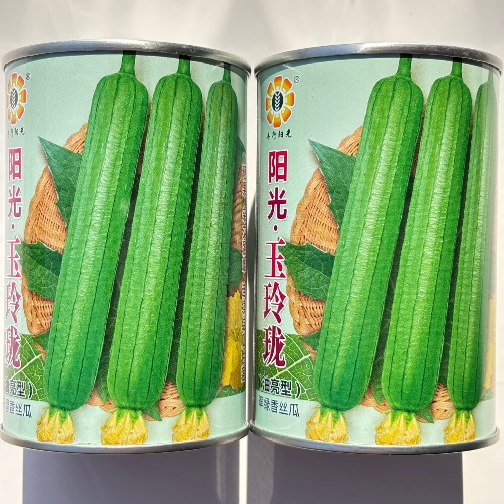 阳光玉玲珑丝瓜种子早熟杂交强雌节节有雌花瓜皮油绿光滑肉雪白