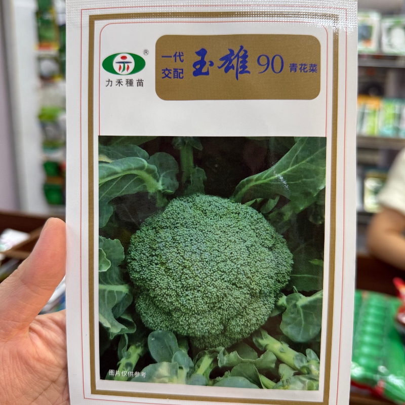 力禾种苗玉雄90青花菜种子一代交配西兰花种籽农家秋季播蔬菜种孑