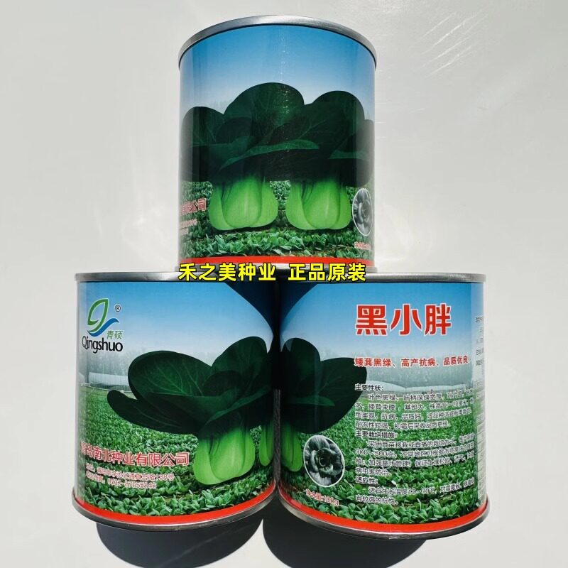 黑叶矮脚苏州青菜种子黑绿油亮青梗白菜种籽耐热耐寒春秋季播蔬菜