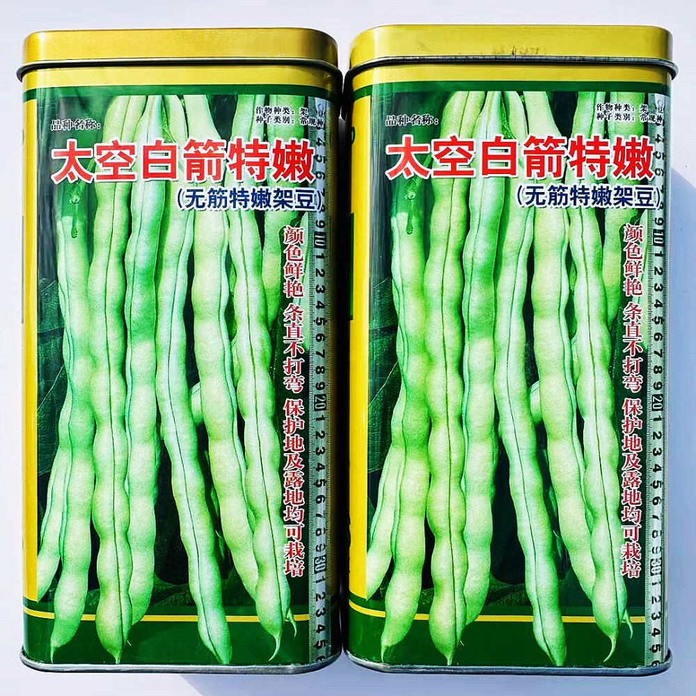 蓟农太空白箭特嫩无筋架豆种子高产中熟四季豆种籽农家春秋两季播
