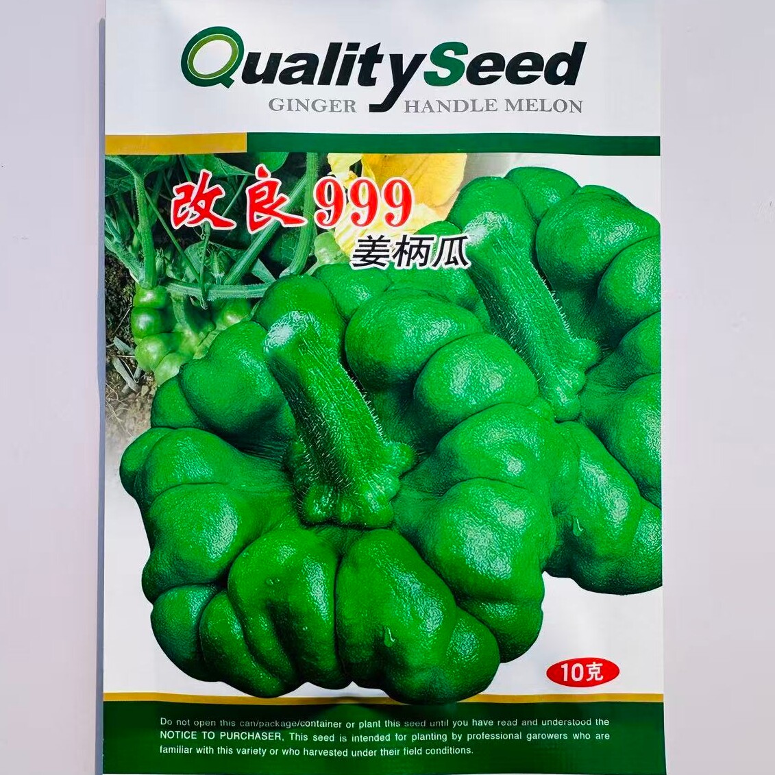 改良999姜柄瓜种子高产中早熟特色南瓜种籽绿菜瓜农家春秋季播种