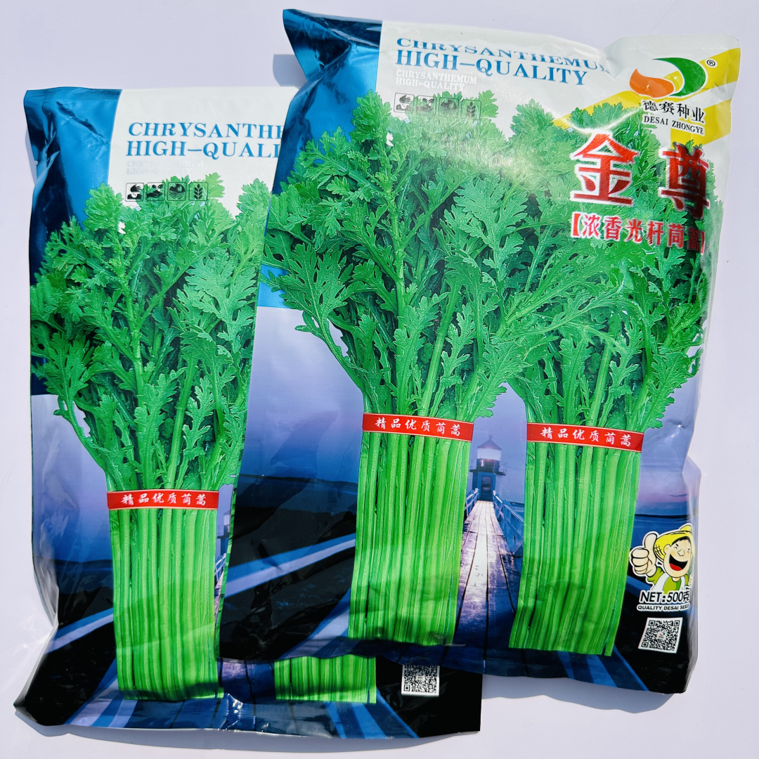德赛金尊浓香光杆茼蒿种子耐热耐寒高产抗病皇帝茼蒿菜种籽春秋播