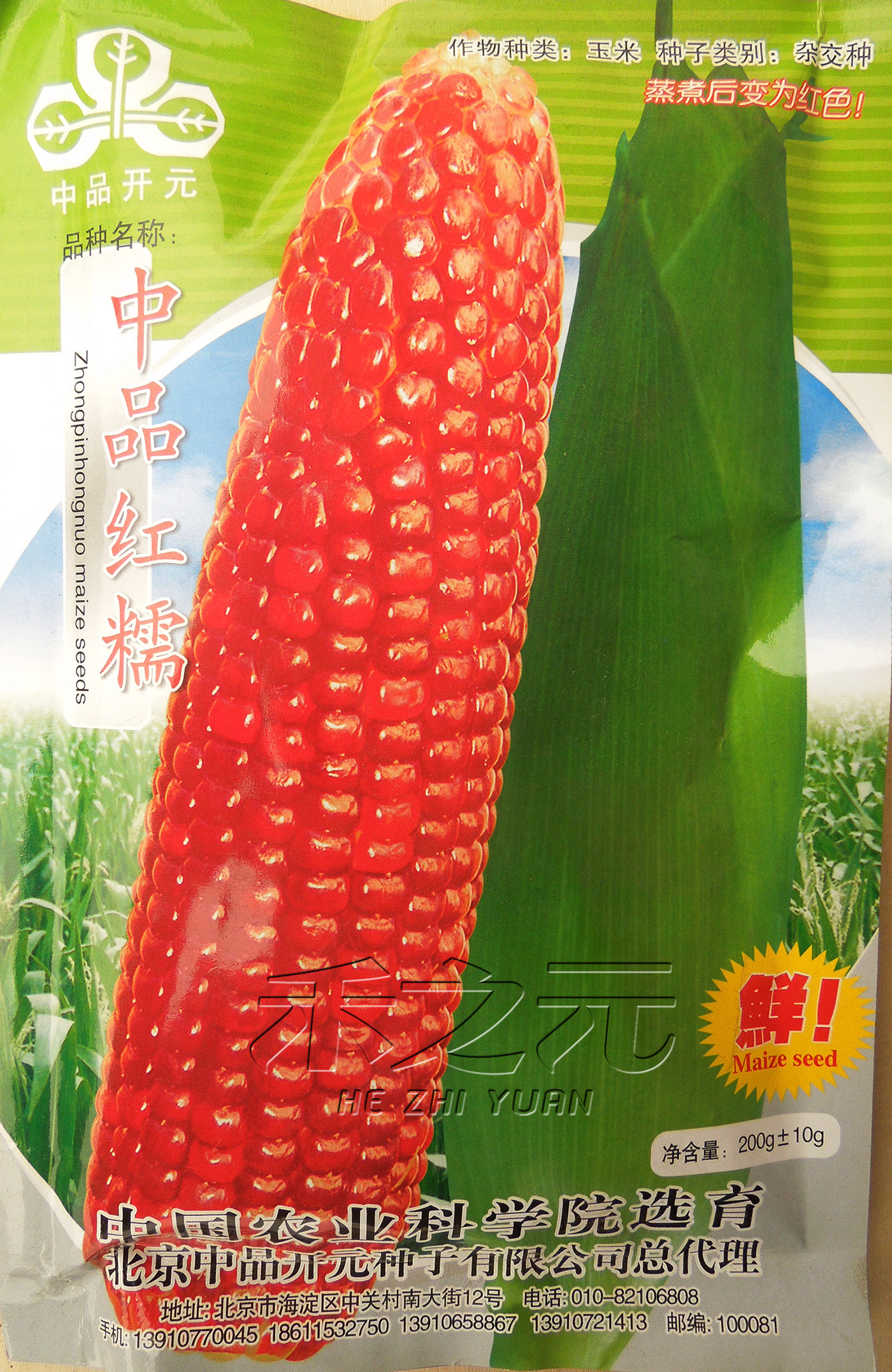 中品红糯玉米种子粘玉米鲜食玉米四季红春季四季春夏秋禾之元包邮