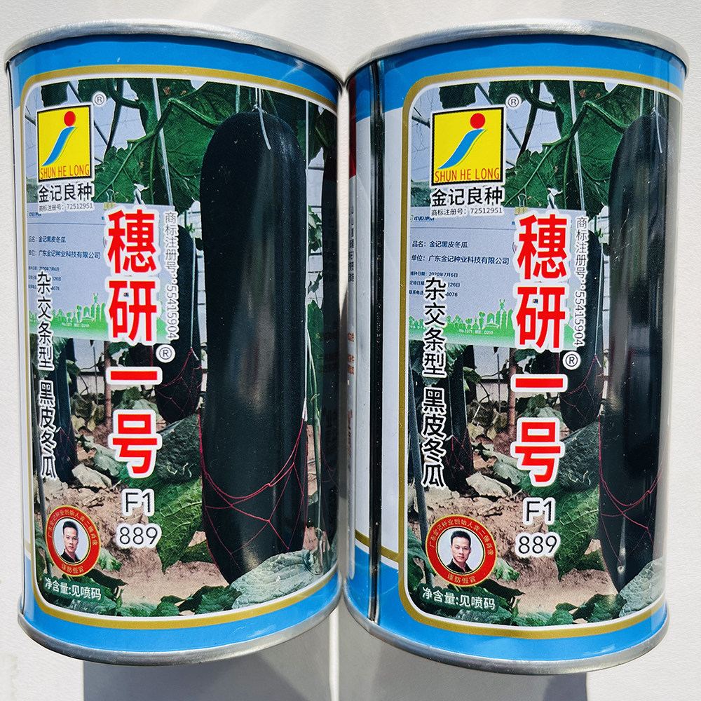 金记穗研一号黑皮冬瓜种子 抗枯萎疫病高产杂交冬瓜种籽 春秋季播
