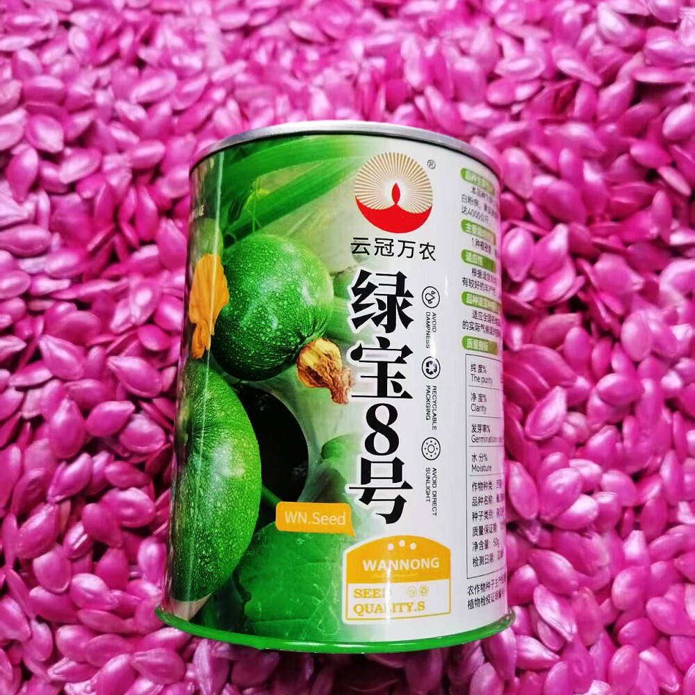 绿宝8号无蔓西葫芦种子 高产杂交占瓜种籽南北方春季播种蔬菜种孑