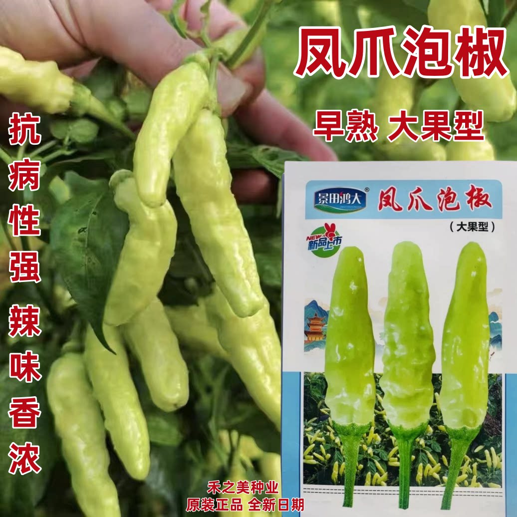 凤爪泡椒种子抗病小米辣种子早熟白米辣朝天椒种子辣香味浓腌渍椒