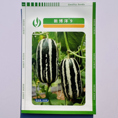 德瑞特博洋91号甜瓜种子薄皮甜脆黄绿花皮甜瓜种籽酥脆香甜香瓜种