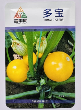多宝苹果西葫芦种籽金黄色西葫芦菜瓜种籽肉质嫩黄春秋季易种蔬菜