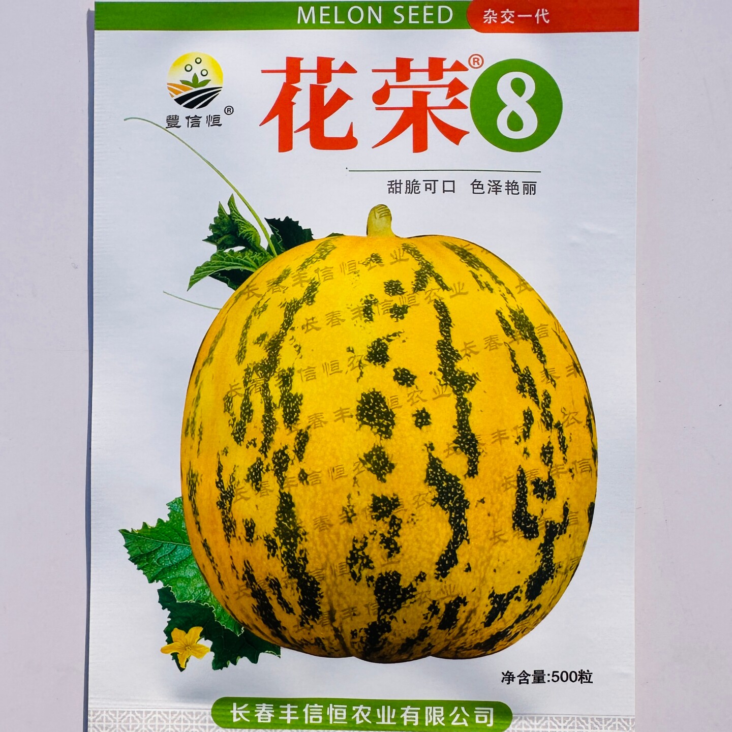 花荣8号花皮甜瓜种子早熟抗病商品性佳春季播杂交梨形香瓜种籽孑