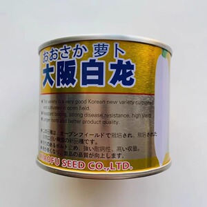 晓富大阪白龙萝卜种子优质白萝卜种籽秋季优良新品种萝卜蔬菜种孑