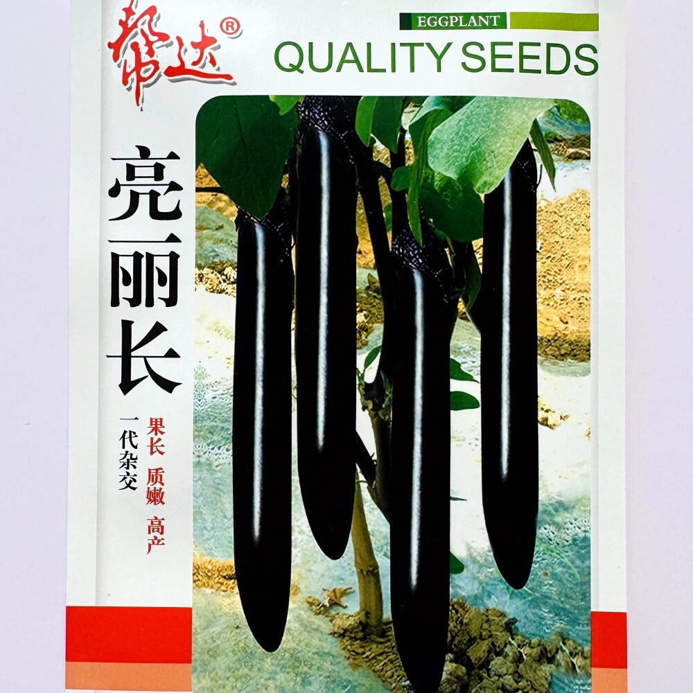 帮达亮丽长茄子种籽墨娇龙紫黑长茄种子早春季大棚基地播蔬菜种孑