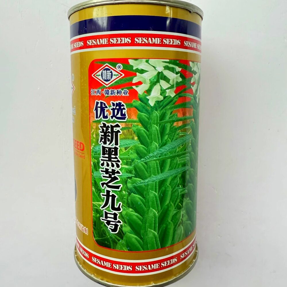 优选新黑芝九号黑芝麻种子单杆中熟四棱芝麻种籽大田基地春夏季播