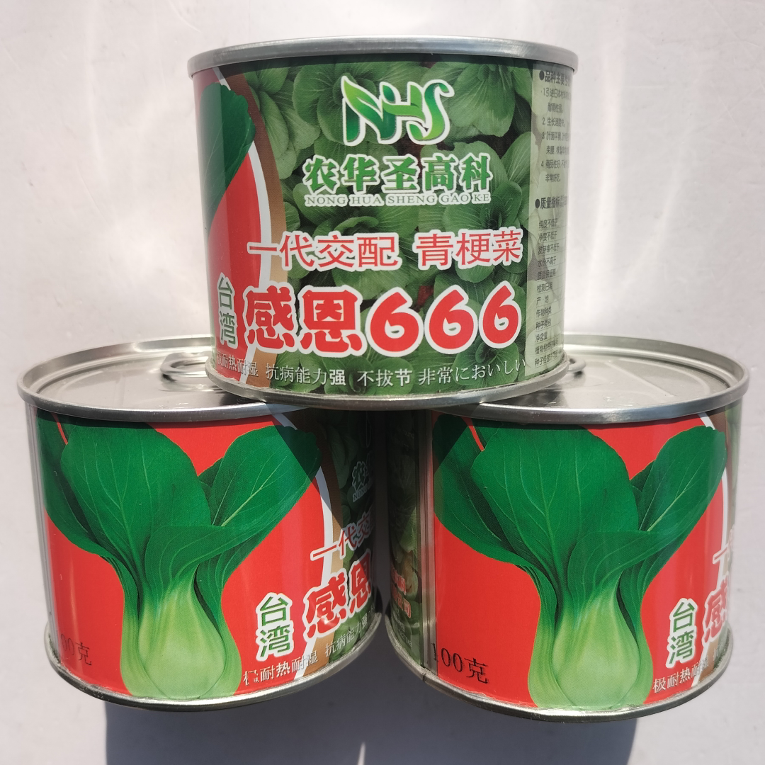 台湾感恩666青梗菜青菜种籽高产四季耐热上海青菜种不拔节青菜种
