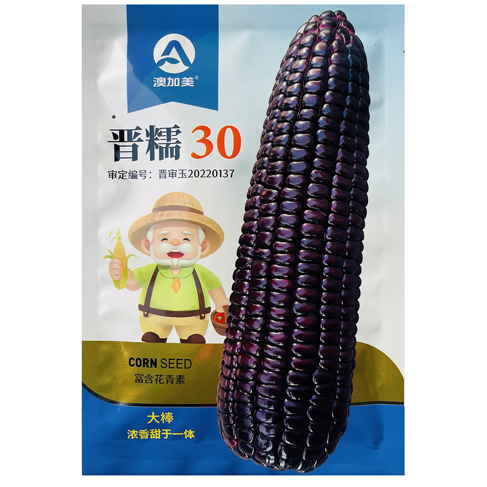 澳加美晋糯30黑糯玉米种子香甜鲜食大棒高产粘玉米种籽农家春夏播