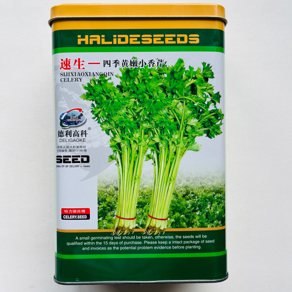 德利高科速生四季小香芹种子耐热耐寒高产黄嫩芹菜种籽农家春秋播