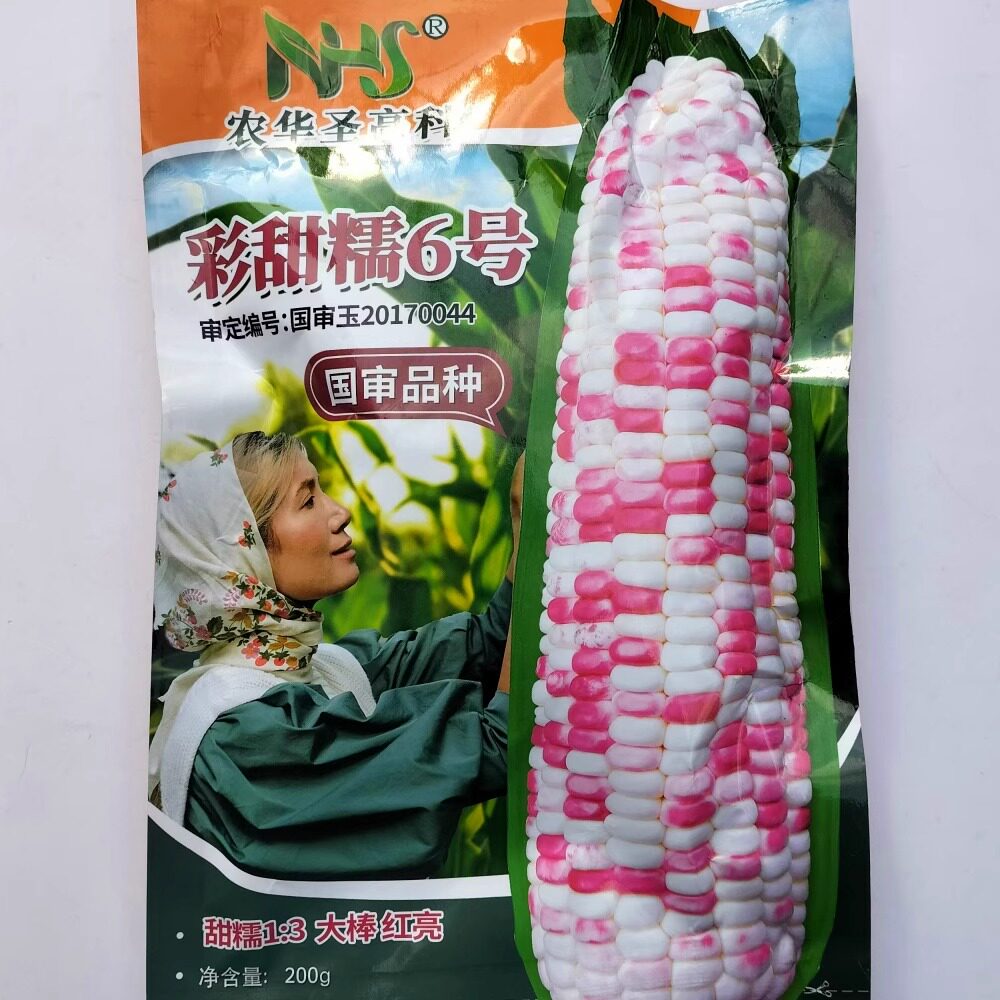 农华圣高科彩甜糯6号花玉米种子大棒春秋季大田鲜食粘玉米种籽孑