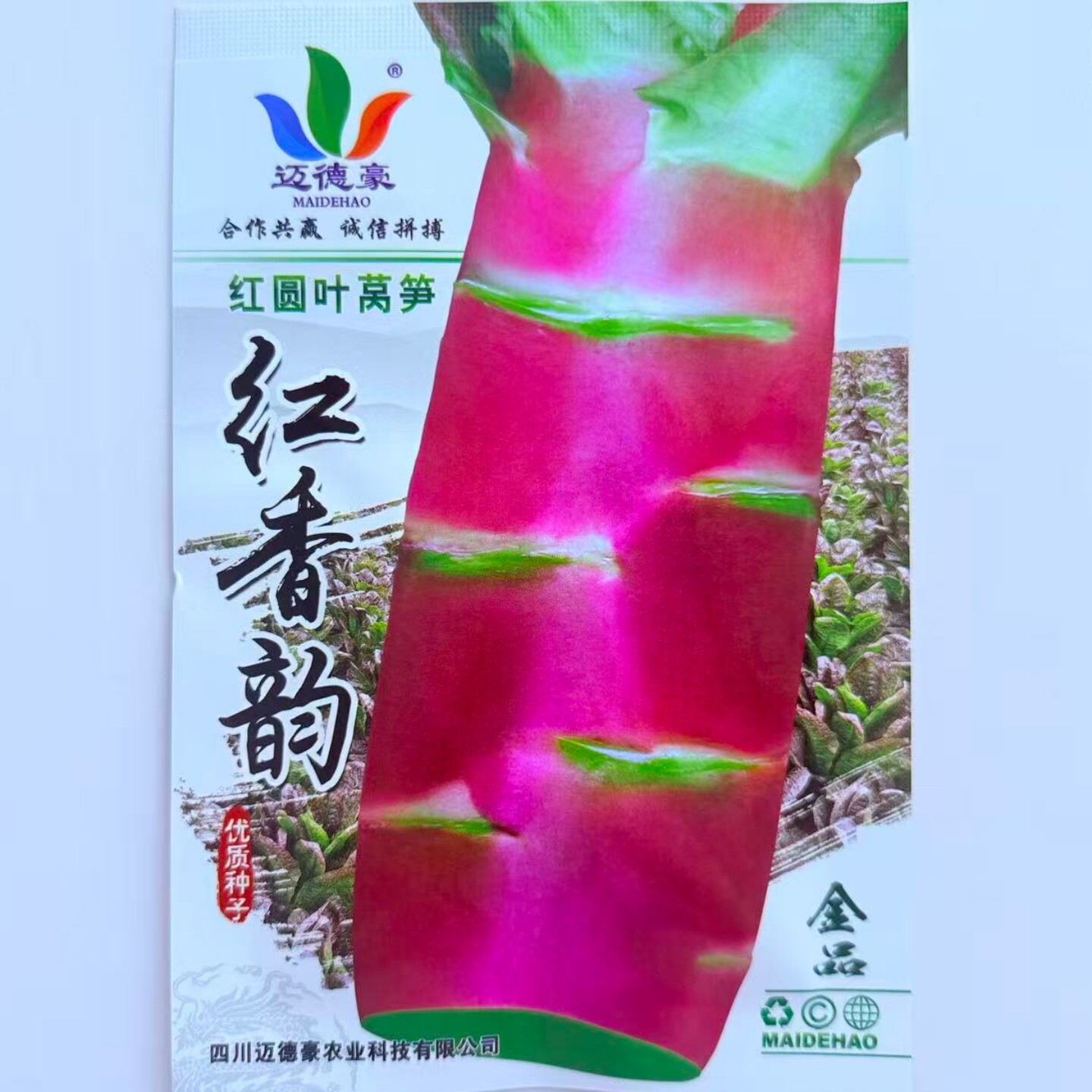 迈德豪红香韵圆叶莴笋种子抗病耐寒清香莴苣菜种籽秋冬季蔬菜种孑