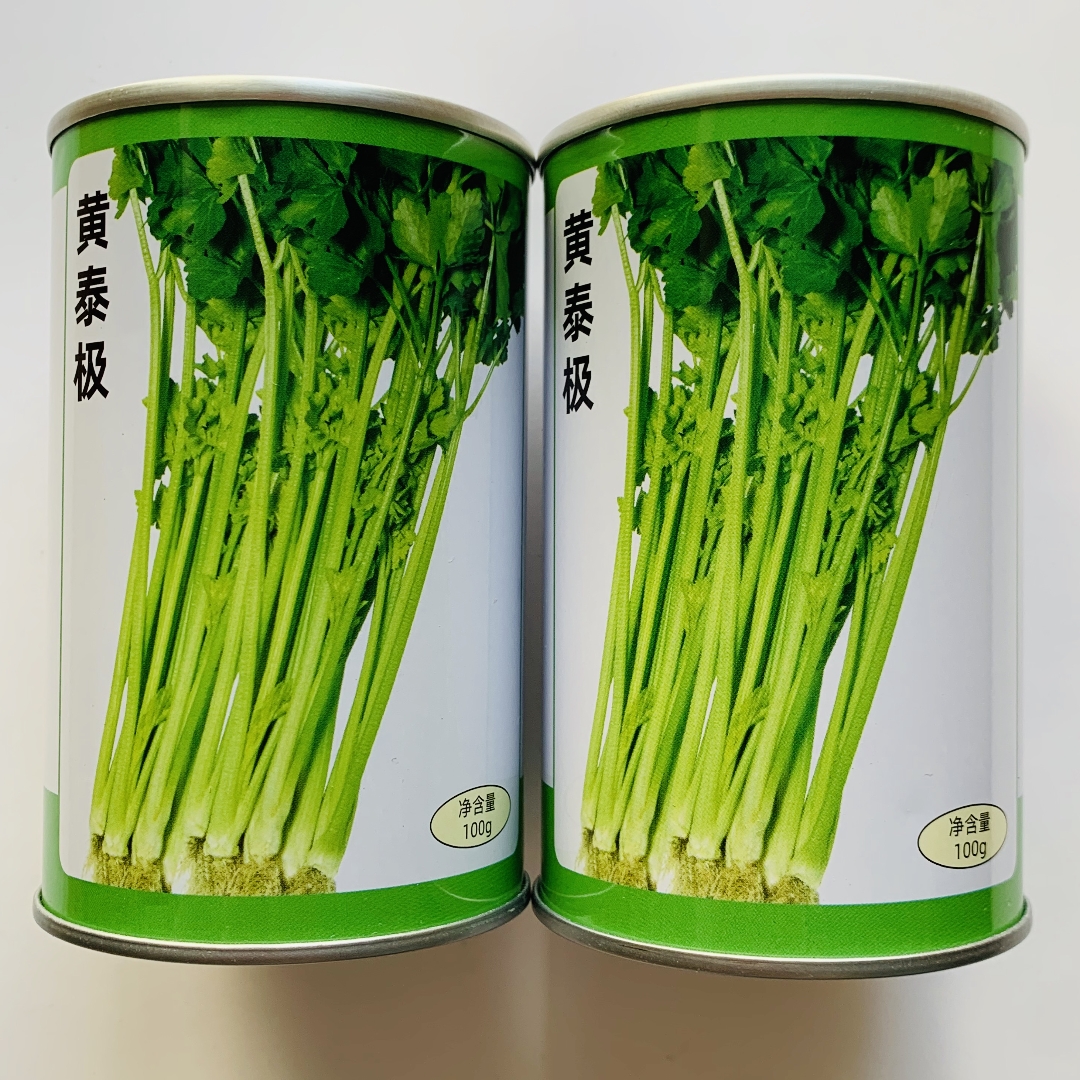 黄泰极芹菜种子早熟速生空心黄芹种籽脆嫩香味浓南北方春夏秋季播