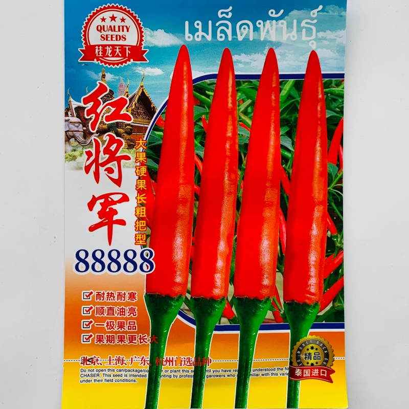 红将军88888大果朝天椒种子中晚熟单生红辣椒种籽产量高顺直油亮