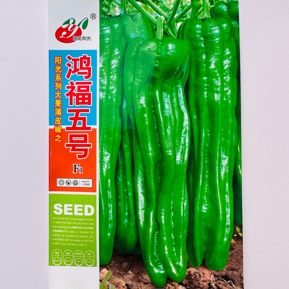 鸿福五号大果薄皮泡椒种子 抗病毒病高产早熟辣椒种籽 春秋季播种