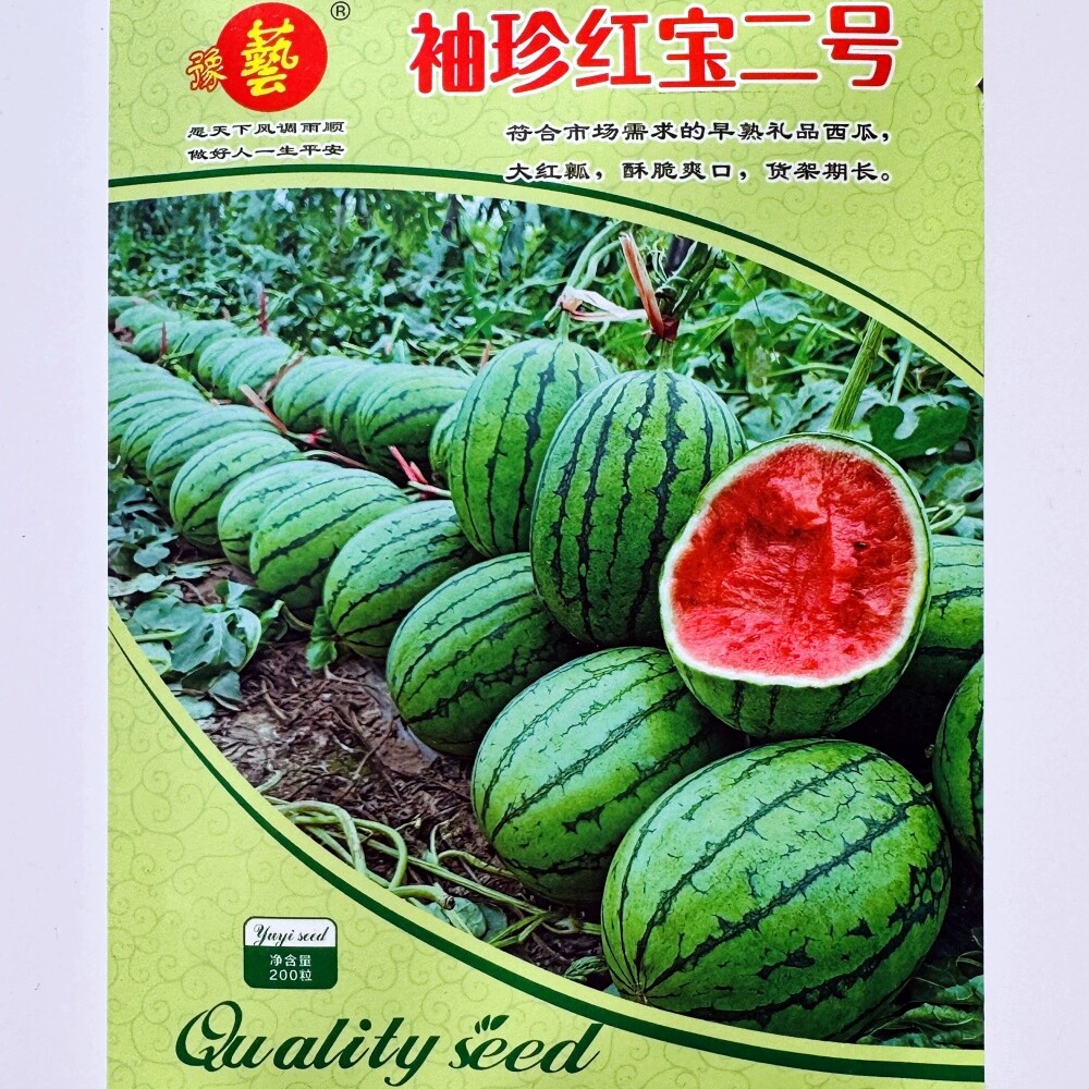 豫艺袖珍红宝二号西瓜种籽早熟耐低温口感好礼品西瓜种子春秋季播