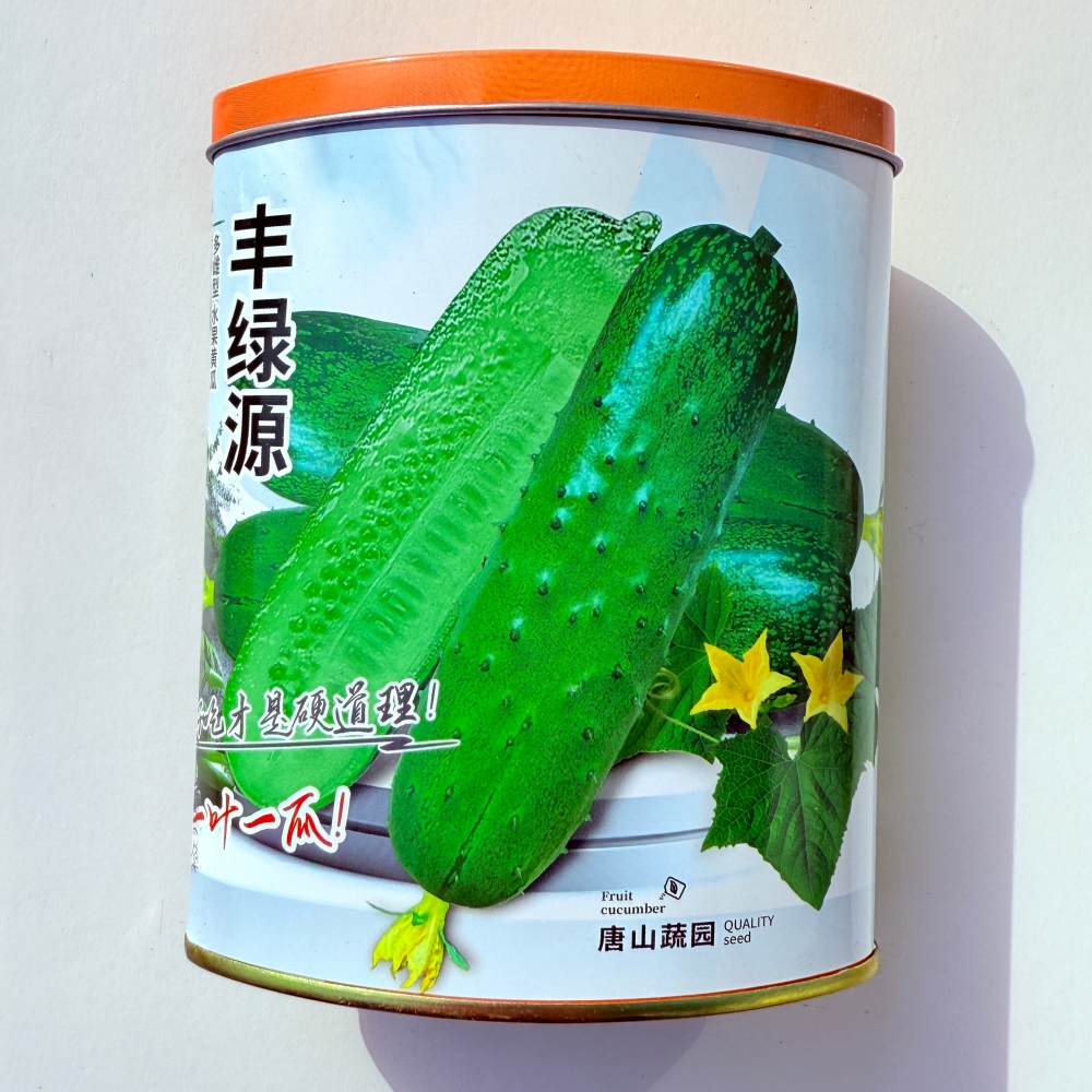 丰绿源多雌水果黄瓜种子唐山秋瓜旱黄瓜种籽抗病早熟农家春秋季播