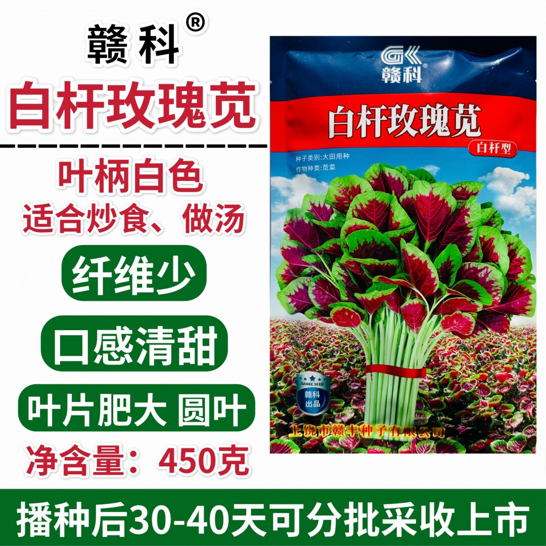 赣科白杆玫瑰苋菜种子口感清甜农家红圆叶糯米苋菜种籽春夏秋季播
