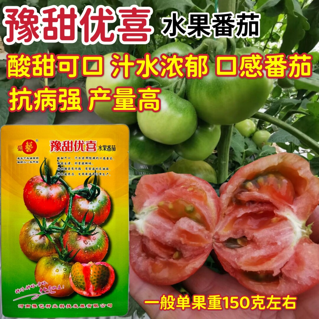 豫艺豫甜优喜水果番茄种子酸甜可口早熟高产清香草莓西红柿种籽孑