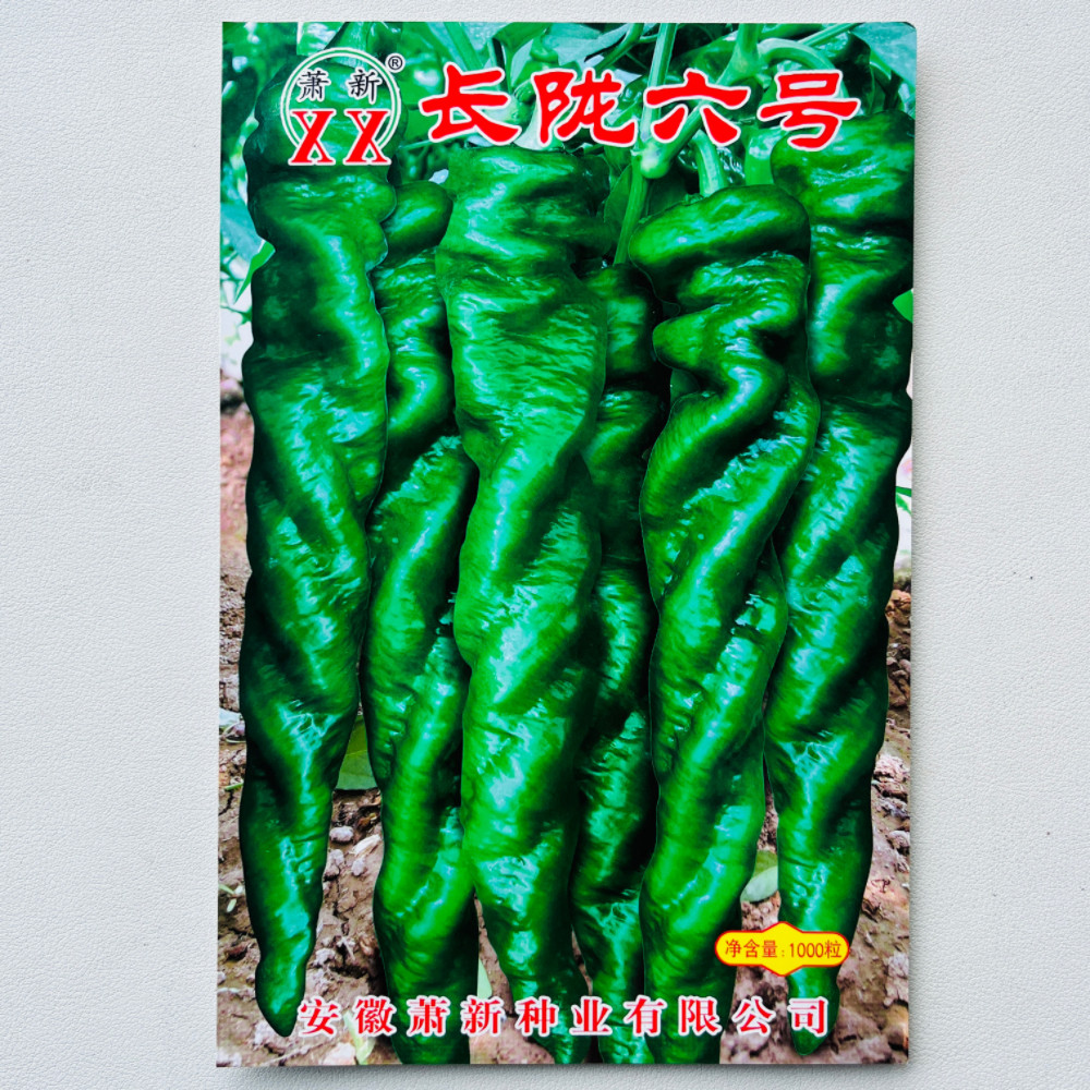 香辣羊角辣椒种籽抗病早熟萧新长陇六号全螺旋型螺丝椒种子春秋季