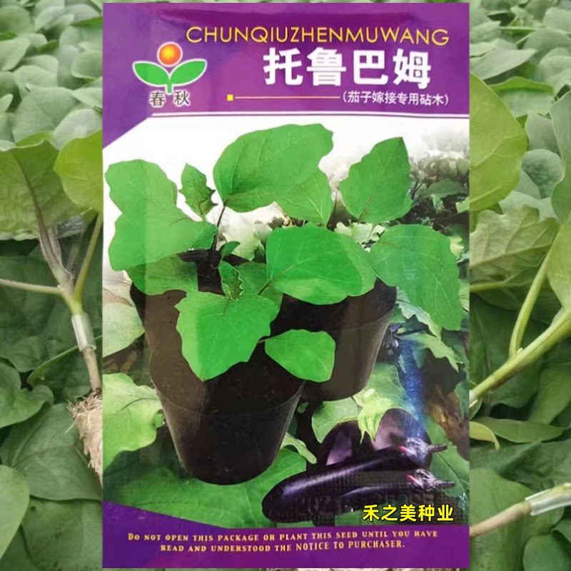 新托鲁巴姆种籽 茄子嫁接专用砧木种子抗病强5克春夏秋冬季种
