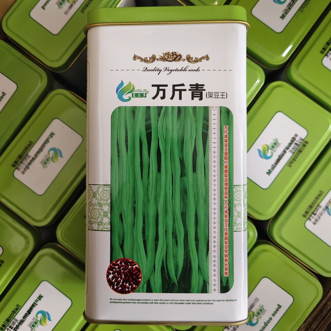 万斤青架豆王种子抗病中早熟厚肉翠绿四季豆角种籽农家春秋季播种