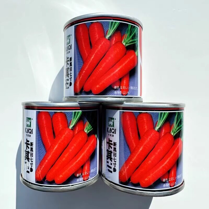 卡其新黑田七寸参胡萝卜种籽皮肉桔红色胡萝卜种子抗病丰产秋季播