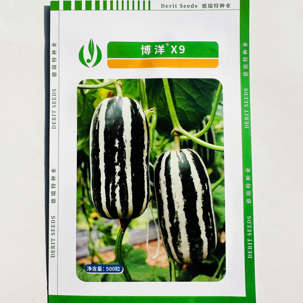 德瑞特博洋X9薄皮甜瓜种子脆酥绿肉桔红瓤杂交早熟口感好香瓜种籽