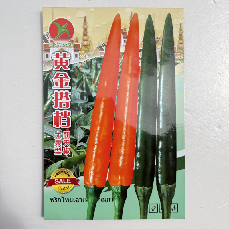 黄金搭档大果型朝天椒种子青红两用硬度好油亮型早熟大号朝天辣椒