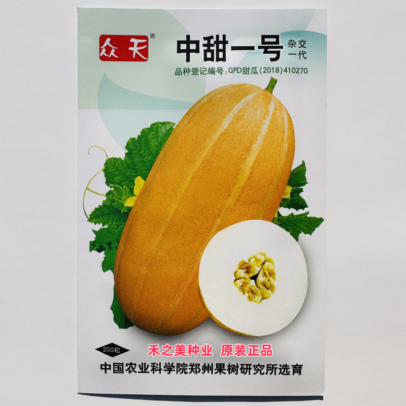 中甜一号甜瓜种子早熟厚皮椭圆形黄皮香瓜种籽大田基地播香瓜种孑