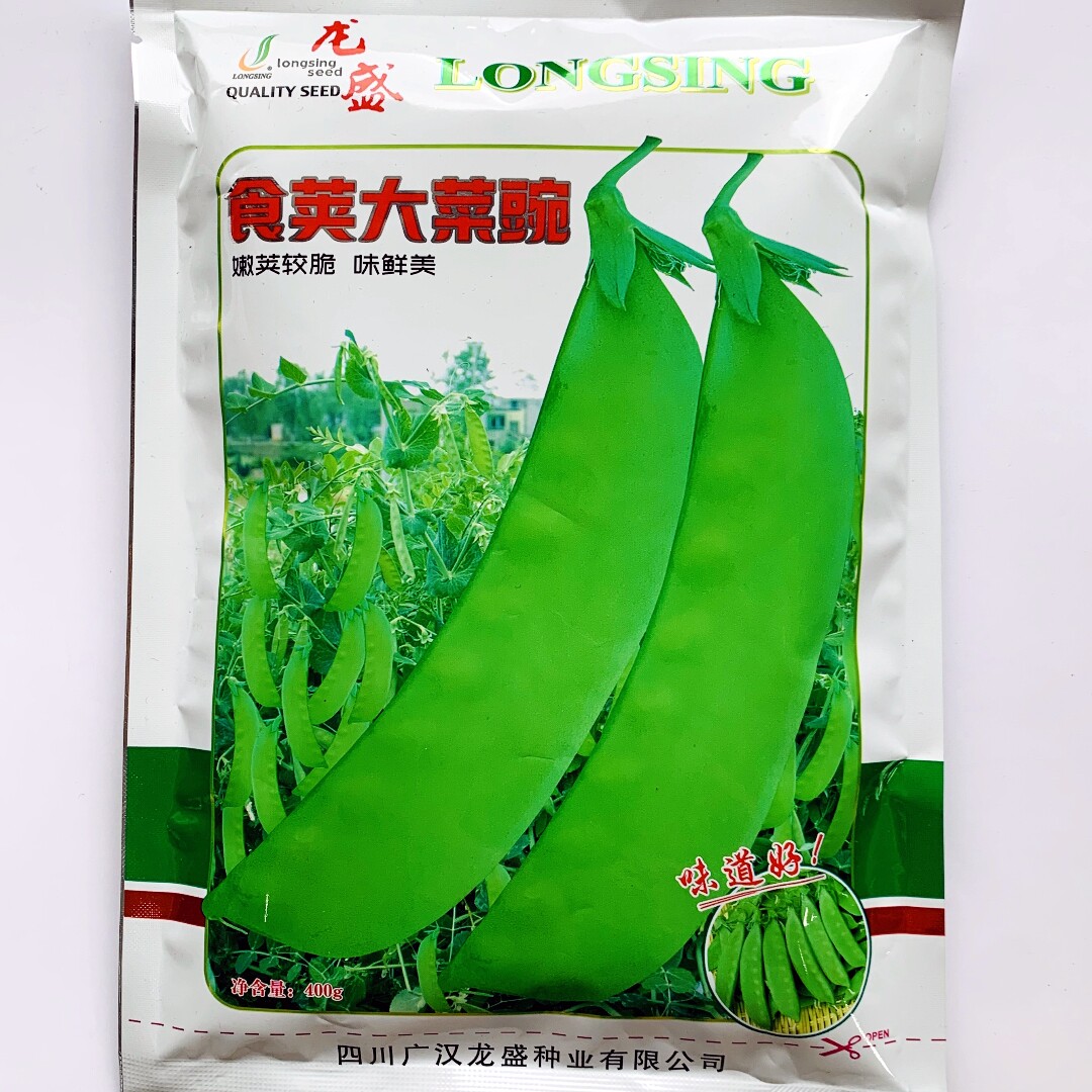 龙盛食荚大荚豌豆种子甜脆大荚荷兰豆豌豆种籽农家秋季播蔬菜种孑