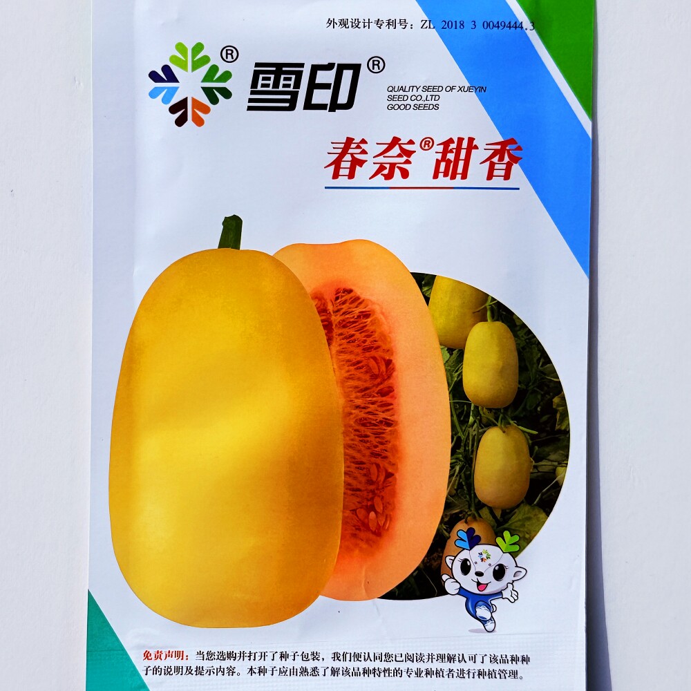 雪印春奈甜香甜瓜种子早熟果皮奶黄色红芯干瓤不易糠芯春夏秋播种