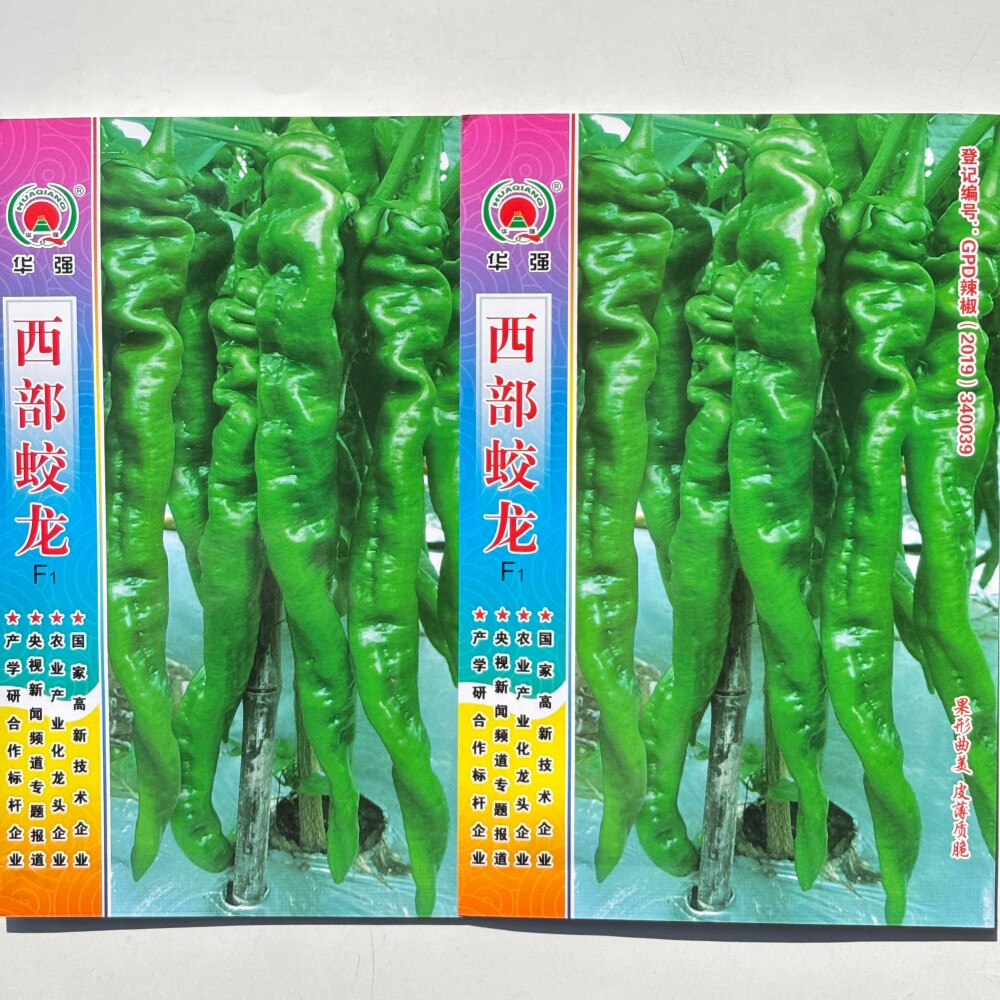 华强西部蛟龙杂交螺丝辣椒种子 抗病杂交中早熟皮薄质脆辣椒种籽