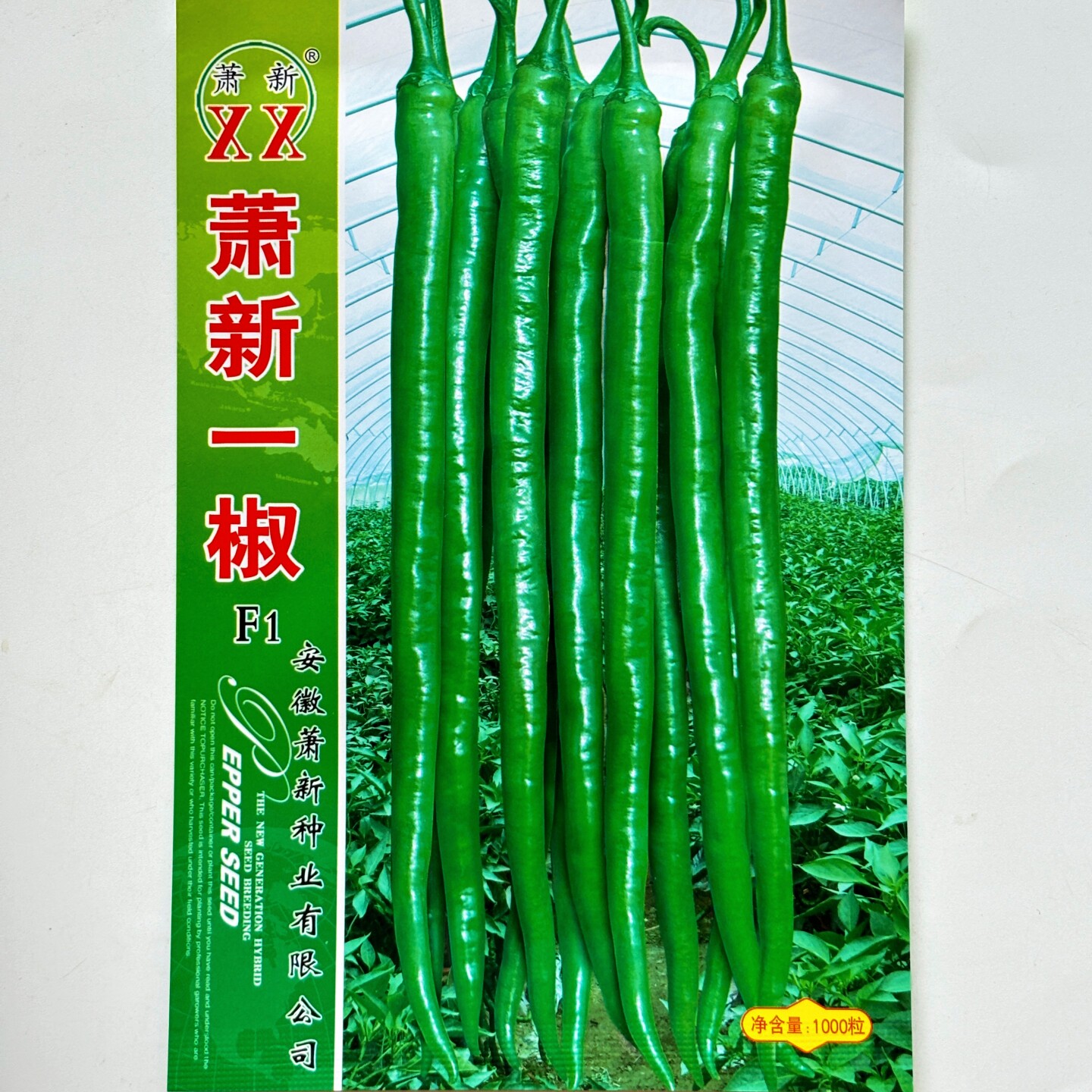 萧新一椒辣椒种子早熟特长线辣椒种籽香辣长线椒包邮基地大田专用
