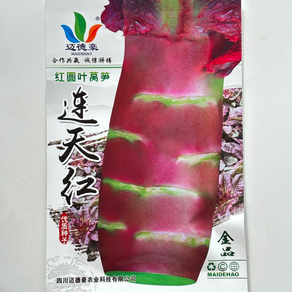 连天红圆叶莴笋种子抗病耐热耐寒莴苣菜种籽农家春秋季播蔬菜种孑
