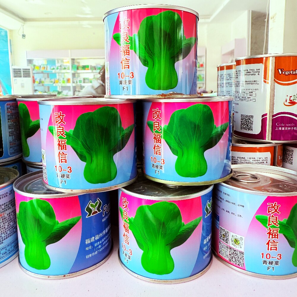 改良信福10-3青梗菜种子杂交耐寒抗病晚抽苔上海青菜种籽春秋季播