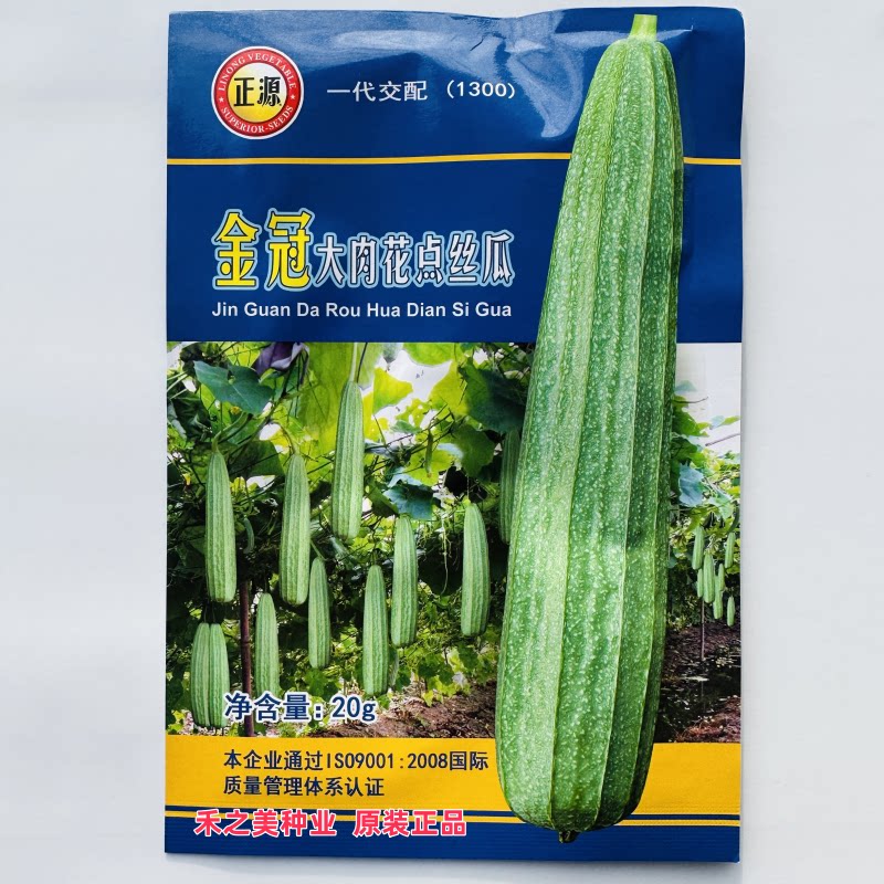 花点丝瓜棱角丝瓜种籽肉丝滑香嫩棱丝瓜种子农家春秋季播丝瓜种子