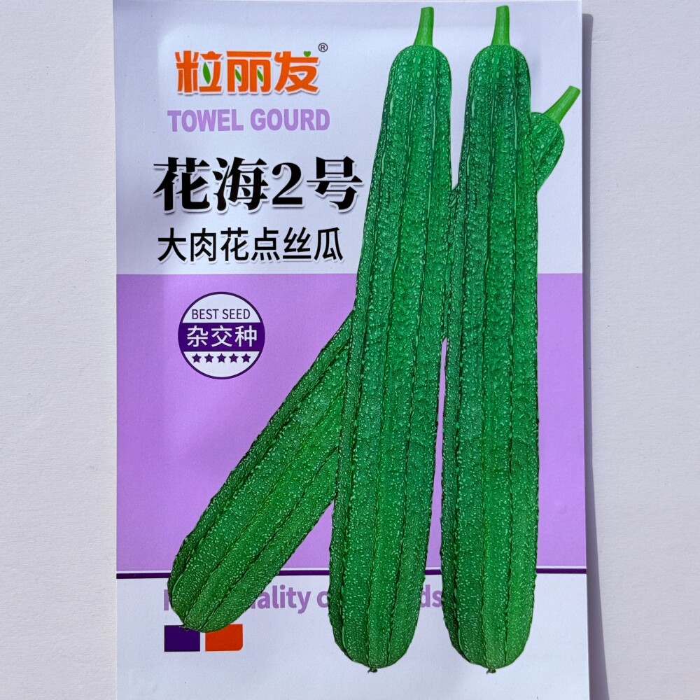花海2号大肉花点丝瓜种子杂交早中熟肉厚清香棱形丝瓜种籽春秋播