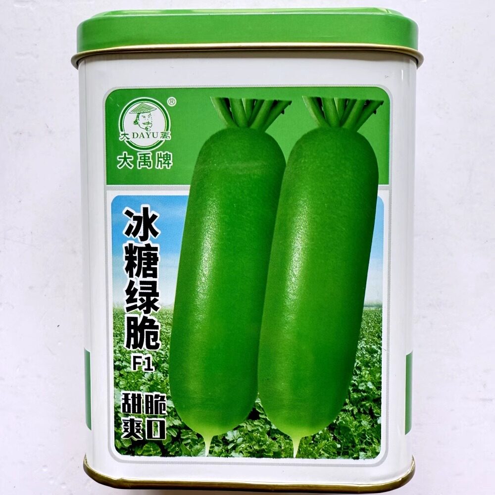大禹冰糖绿脆水果萝卜种子甜脆爽口青皮青肉萝卜种籽农家秋季播种
