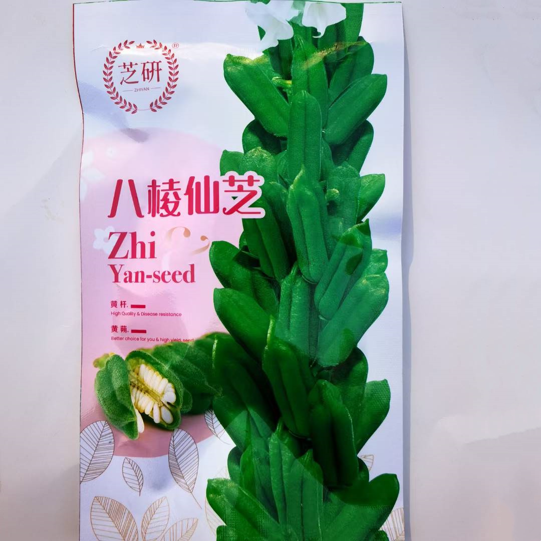 八棱仙芝黄杆芝麻种子高产抗病抗逆性强芝麻种籽农家大田蔬菜种子